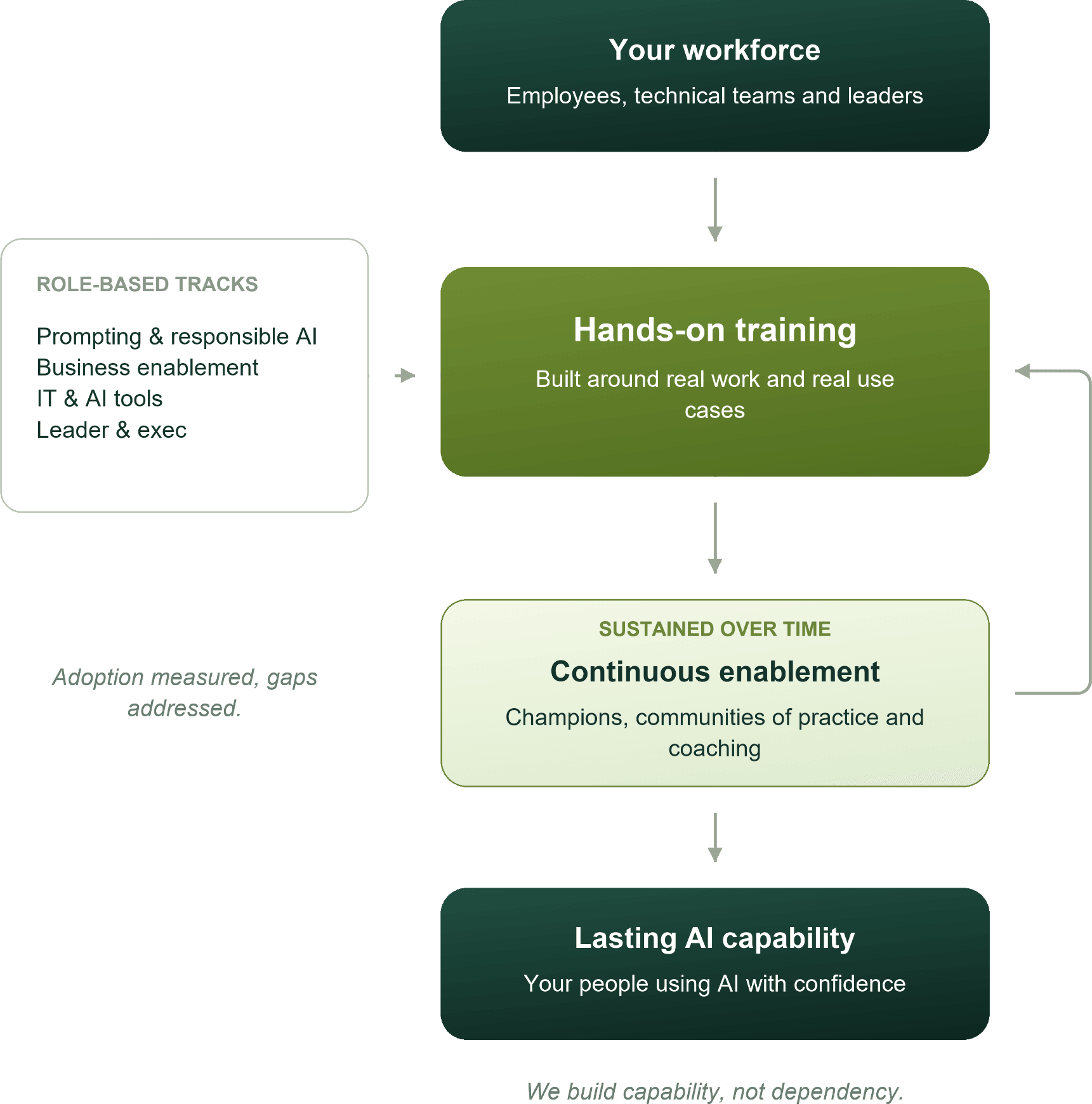 Diagram: your workforce takes role-based training tracks through hands-on training, sustained by champions and coaching, building lasting AI capability.